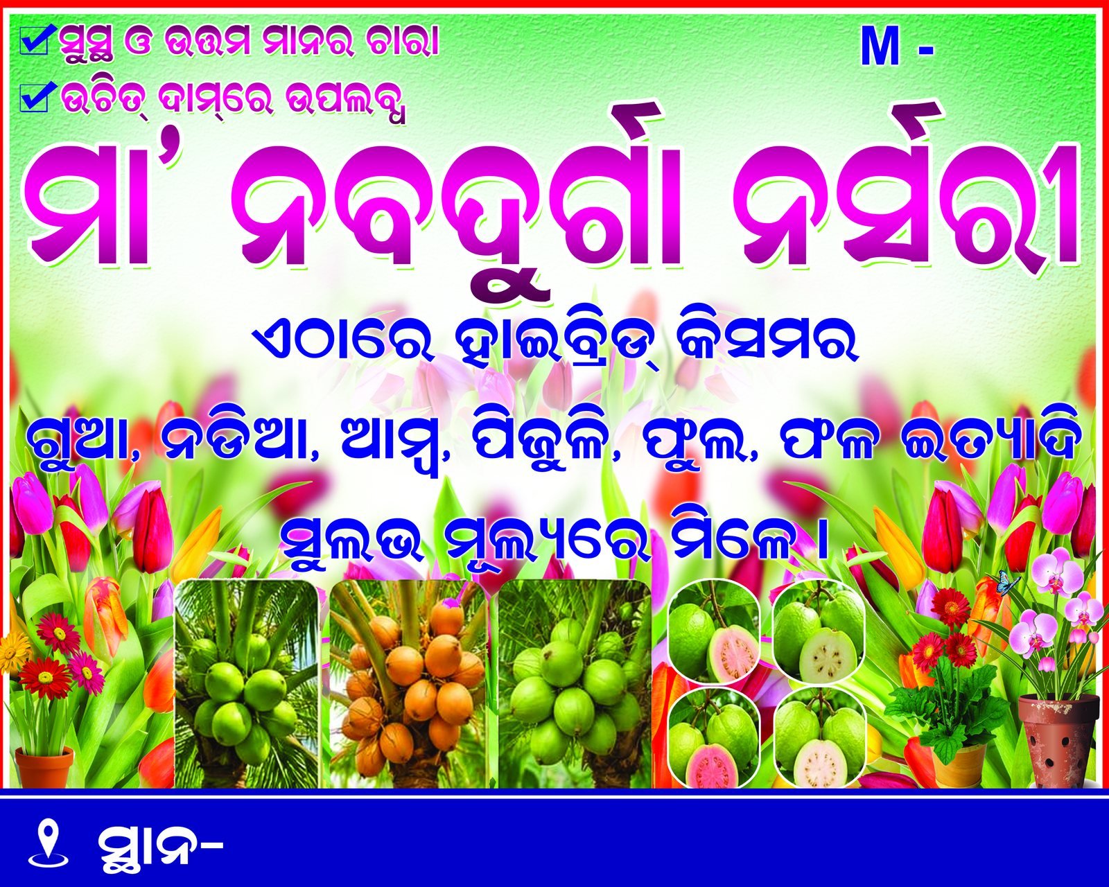 Nursery Admission Open Banner